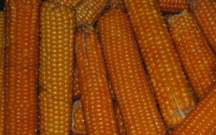 Produzione